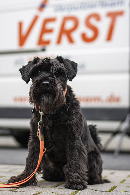 Oskar